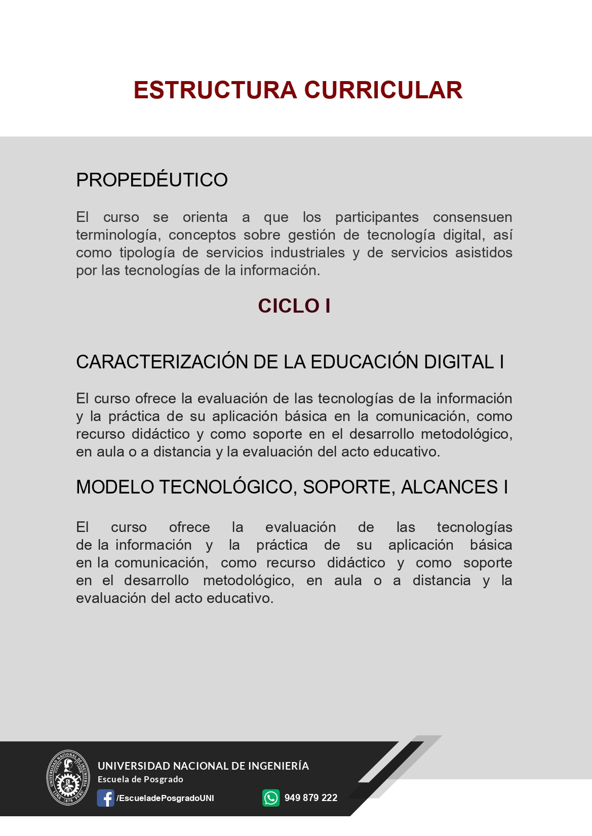 DIPLOMADO EN TECNOLOGIA DIGITAL Y GESTION EDUCATIVA UNI 2023 page 0005